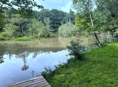 Waterfront lot on Lake Amanda with existing improvements - photo 2