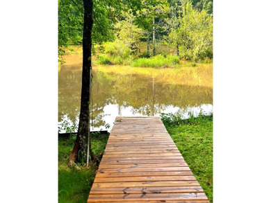 Waterfront lot on Lake Amanda with existing improvements - photo 3