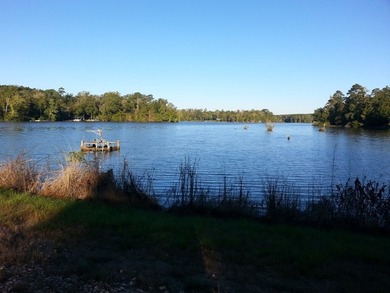 Waterfront lot on Lake Amanda with existing improvements - photo 5