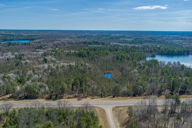 Looking for wooded acreage? How about your own private pond? - Lake Acreage Sale Pending in Hazelhurst, Wisconsin