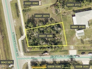 Large Tropical Homesites lot. No restrictions or HOA. Access to - photo 1