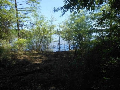 Lake Lot For Sale in Hemphill, Texas