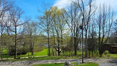 Enjoy Paw Paw Lake living without the Paw Paw Lake price tag - photo 16