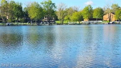 Enjoy Paw Paw Lake living without the Paw Paw Lake price tag - photo 17
