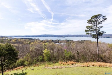Wake up to million-dollar Lake Guntersville views every single - photo 9