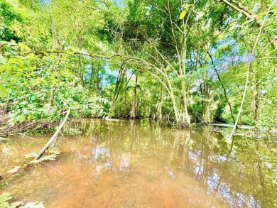 Lake Lot For Sale in Hemphill, Texas
