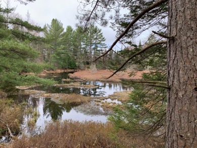 5 ACRES W/POND VIEWS AND FRONTAGE: Wooded privacy at the top of - Lake Acreage For Sale in Presque Isle, Wisconsin