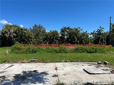 10K PRICE REDUCTION Secluded Vacant Lot with Pool - Close to - photo 2