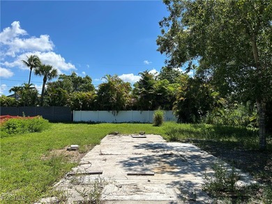 10K PRICE REDUCTION Secluded Vacant Lot with Pool - Close to - photo 5