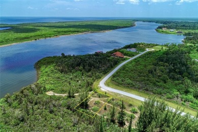 Great opportunity to own this land in South Gulf Cove - photo 14