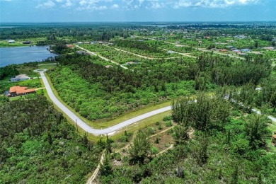 Great opportunity to own this land in South Gulf Cove - photo 15