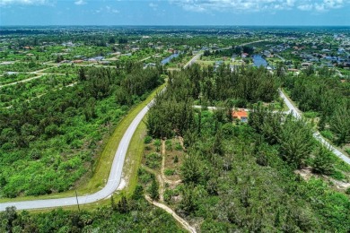 Great opportunity to own this land in South Gulf Cove - photo 17