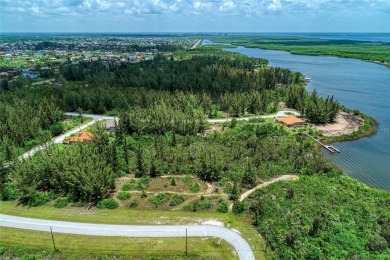 Great opportunity to own this land in South Gulf Cove - photo 21