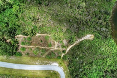Great opportunity to own this land in South Gulf Cove - photo 22