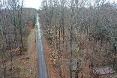 Immaculate 11/2 story cabin located near the shores of Barren - photo 27