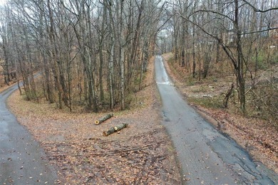 Immaculate 11/2 story cabin located near the shores of Barren - photo 28