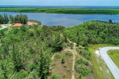 Great opportunity to own this land in South Gulf Cove - photo 30
