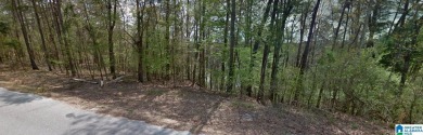 Lake Acreage For Sale in Northport, Alabama