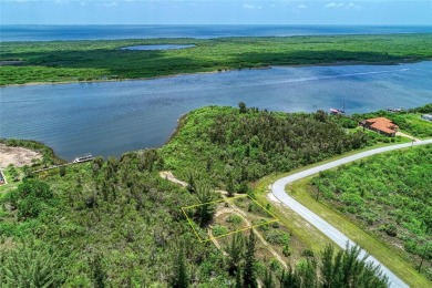 Great opportunity to own this land in South Gulf Cove - photo 33