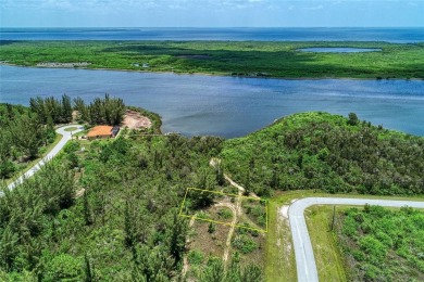 Great opportunity to own this land in South Gulf Cove - photo 36