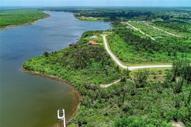 Great opportunity to own this land in South Gulf Cove - photo 38