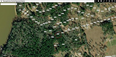 Lake Sam Rayburn  Lot For Sale in Etoile Texas