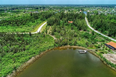 Great opportunity to own this land in South Gulf Cove - photo 42