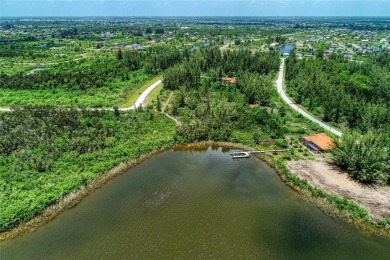 Great opportunity to own this land in South Gulf Cove - photo 44