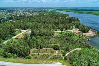 Great opportunity to own this land in South Gulf Cove - photo 47