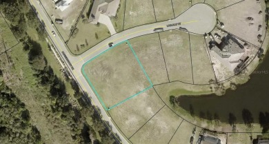 (private lake, pond, creek) Lot For Sale in Palm Coast Florida