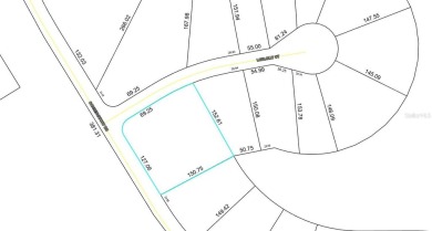 Build Your Dream Home on This Stunning oversized Corner Lot! - photo 4