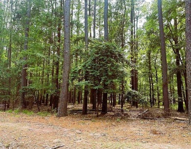 Lake Cypress Springs Lot Active Under Contract in Mount Vernon Texas