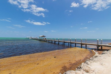 Exquisite Oceanfront Historic Cheeca Lodge Resort and Spa in - photo 22