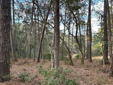 Discover this exceptional vacant lot, perfectly situated among - photo 3
