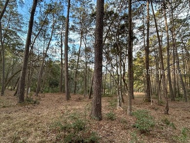 Discover this exceptional vacant lot, perfectly situated among - photo 4