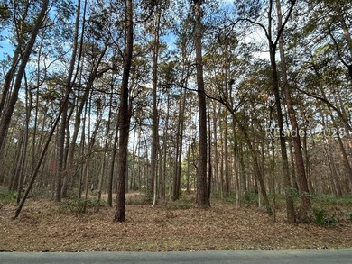 Discover this exceptional vacant lot, perfectly situated among - photo 5