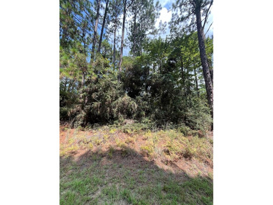 Lake Sam Rayburn  Lot For Sale in Brookeland Texas