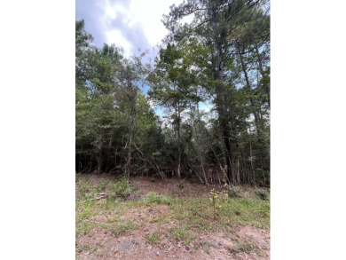 Lake Lot For Sale in Brookeland, Texas
