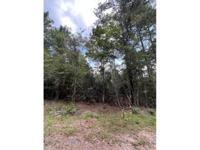 Lake Sam Rayburn  Lot For Sale in Brookeland Texas