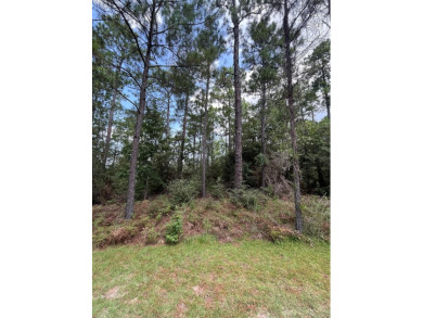 Lake Lot For Sale in Brookeland, Texas