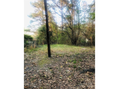 (private lake, pond, coastal) Lot For Sale in Great Falls South Carolina