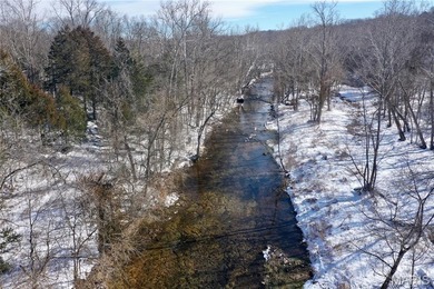 (private lake, pond, coastal) Acreage For Sale in Potosi Missouri