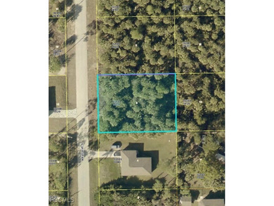 Lehigh Acres Area Lot For Sale in Lehigh Acres Florida