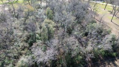 Water View Lake Lot (1 Acre) - photo 5