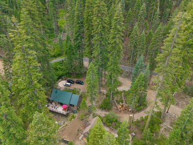Lakefront *Creek Cabin* on Bucks Lake. Welcome to the Creek - photo 36