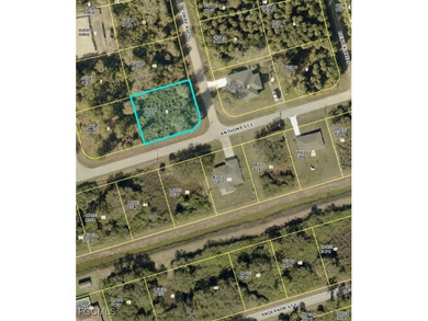 Lehigh Acres Area Lot For Sale in Lehigh Acres Florida