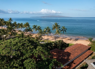 Hawaiiana meets contemporary design with this exceptional estate - photo 3
