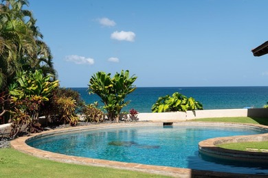 Hawaiiana meets contemporary design with this exceptional estate - photo 5