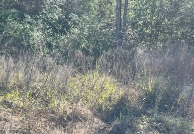 Water View Lake Lot (1 Acre) - photo 7