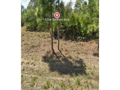 Welcome to your opportunity to build your dream home or - photo 2